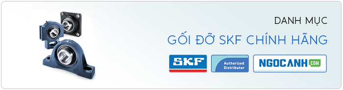 Gối đỡ SKF chính hãng