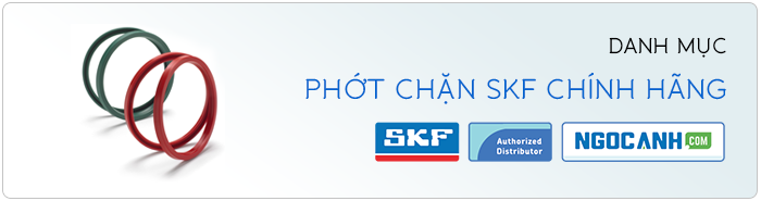 Phớt chặn SKF chính hãng