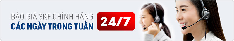 báo giá vòng bi SKF chính hãng