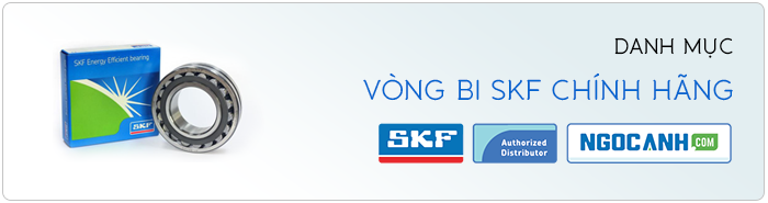 vòng bi SKF chính hãng